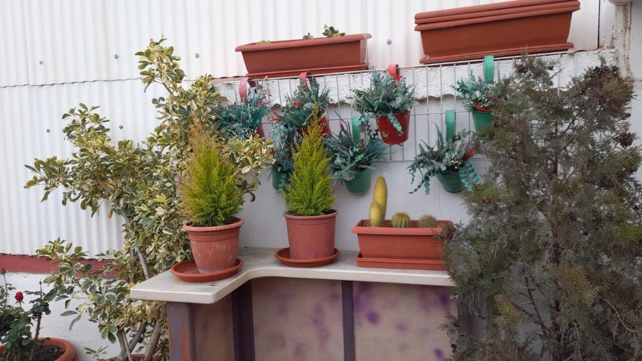 La Terraza Διαμέρισμα Vinarós Εξωτερικό φωτογραφία