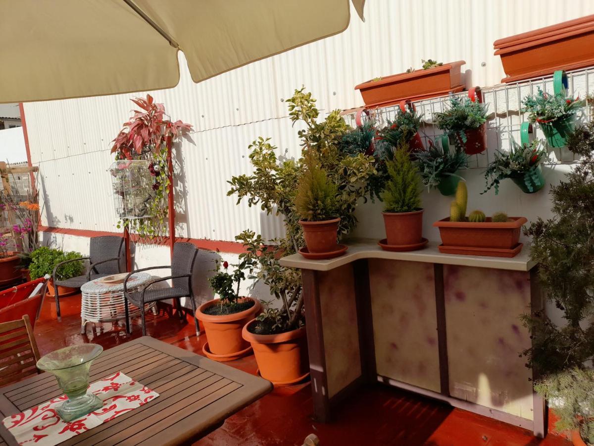 La Terraza Διαμέρισμα Vinarós Εξωτερικό φωτογραφία